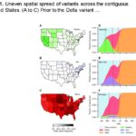 遺伝子配列の解読により、将来のCOVID-19の変異体が含まれる可能性がある。(Genetic sequencing could contain future COVID-19 variants)