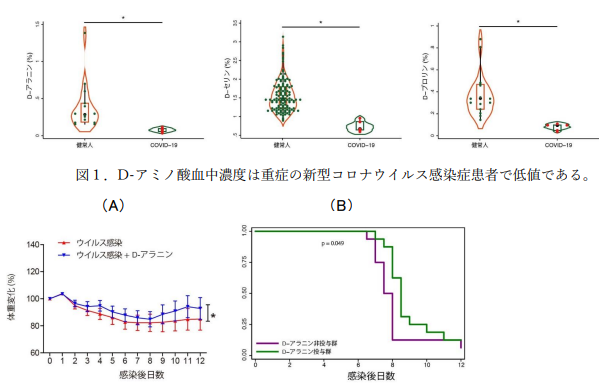 新型コロナウイルス感染症の重症化バイオマーカー及び重症化を予防するD-アミノ酸の発見 ～医療、患者負担の軽減に期待～