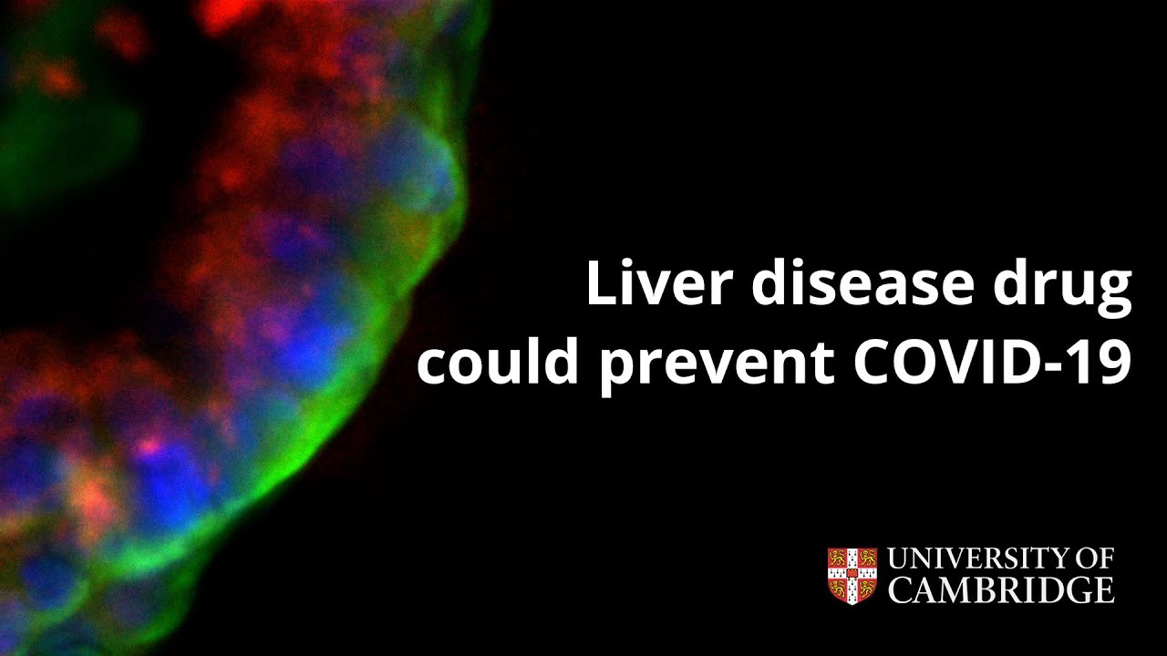 将来のCOVID-19亜種から身を守る特許切れの薬(The off-patent drug that could protect us from future COVID-19 variants)