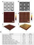 生体組織の再生に役立つ生体材料と細胞の界面を調べる新手法を開発(New methods to investigate the interface between biomaterials and cells to help regenerate body tissues)