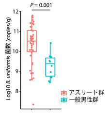 ヒト腸内細菌の1種が持久運動パフォーマンスの向上に貢献 ～腸内フローラと運動能力の関係が明らかに～