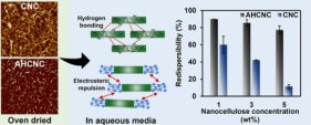セルロースナノ結晶を容易に乾燥・再分散させる機構を解明(Researchers uncover mechanisms to easily dry, redisperse cellulose nanocrystals)