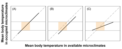 気候の難問:アリは気温が上がっても行動を変えないという研究結果が発表される(Climate Conundrum: Study Finds Ants Aren&rsquo;t Altering Behavior in Rising Temperatures)