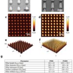生体組織の再生に役立つ生体材料と細胞の界面を調べる新手法を開発(New methods to investigate the interface between biomaterials and cells to help regenerate body tissues)