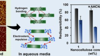 セルロースナノ結晶を容易に乾燥・再分散させる機構を解明(Researchers uncover mechanisms to easily dry, redisperse cellulose nanocrystals)