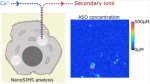 細胞内のナノスケール薬物分子を明らかにする新手法を開発(New method reveals nano-scale drug molecules in cells)