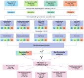 女性の生殖因子は心臓血管系疾患のリスクに寄与する(Reproductive factors in women contribute to risk of cardiovascular disease)