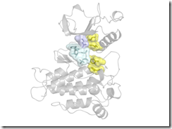 キナーゼ阻害剤に反応しなくなったがんが再び強くなる理由を解明(Research Reveals Why Cancers Stop Responding to Kinase-Blocking Drugs and Come Back Stronger)