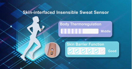 超疎水性バイオセンサーで体内の汗蒸気を測定できるようになった(Superhydrophobic biosensor could measure sweat vapors on the body)