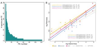 人類が絶滅させた可能性のある小さな島々では、爬虫類の喪失が脅威となる(Loss of Reptiles Poses Threat for Small Islands Where Humans May Have Caused Extinctions)