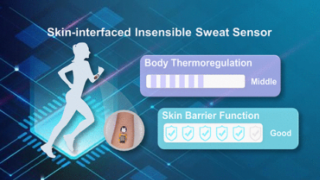 超疎水性バイオセンサーで体内の汗蒸気を測定できるようになった(Superhydrophobic biosensor could measure sweat vapors on the body)