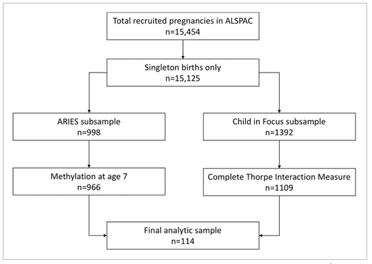 お母さんの行動の小さな違いが、子どものエピゲノムに現れるかもしれない(Small differences in mom’s behavior may show up in child’s epigenome)