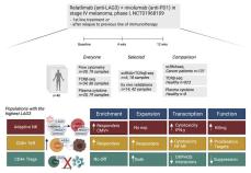 進行性メラノーマの新薬の効果を科学者がAIで解明(Scientists unravel the effects of new medication for advanced melanoma with the help of AI)