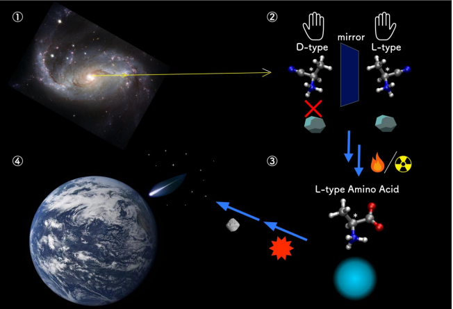 アミノ酸のホモキラリティ獲得の分子機構を解明 ～量子化学計算で生命の起源を探る～