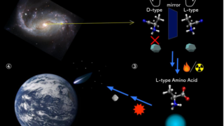 アミノ酸のホモキラリティ獲得の分子機構を解明 ～量子化学計算で生命の起源を探る～