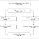 お母さんの行動の小さな違いが、子どものエピゲノムに現れるかもしれない(Small differences in mom’s behavior may show up in child’s epigenome)