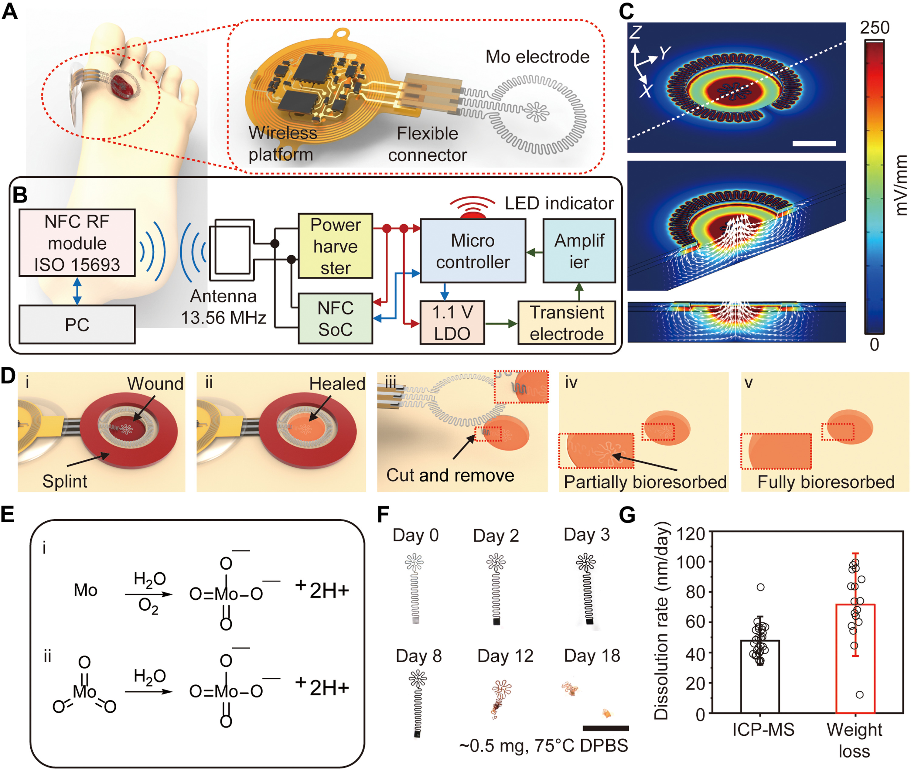 世界初、傷の治りが30%速くなる電子包帯を開発(First transient electronic bandage speeds healing by 30%)