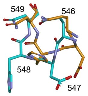 X線自由電子レーザーで捉えたビフィズス菌酵素の常温構造～局所的な構造変化から示唆された酵素反応メカニズム～