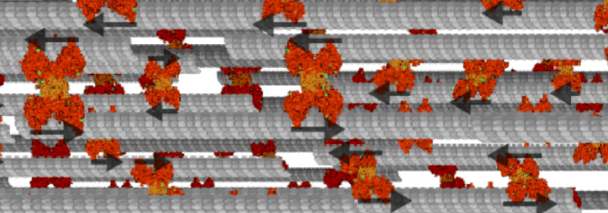 生体エネルギーをサブセルレベルで見るという、これまでにない試み(An unprecedented look at biological energy on the sub-cellular level)