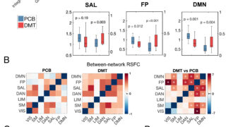 DMTが現実の知覚を変化させる仕組みを示唆する先進的な脳画像研究(Advanced brain imaging study hints at how DMT alters perception of reality)