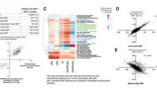 抗炎症薬はCOVID-19の回復を早めなかったが死亡は防いだ(Anti-inflammatory drugs did not speed COVID-19 recovery but prevented deaths)