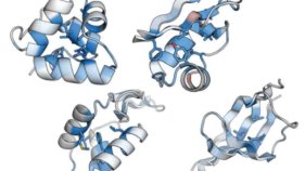 たんぱく質が「形」を保つ力の超並列測定法 ～たんぱく質科学のAI開発にも貢献～