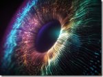 目に映る以上のもの 視覚系がどのように記憶に寄与しているかを示す新たな研究結果(More than Meets the Eye: New Research Shows How the Visual System Contributes to Memory)
