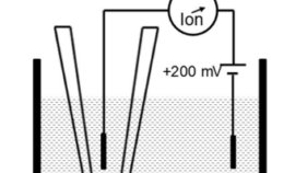 生細胞の表面構造をナノスケールで直接可視化 ～エクソソームなど細胞間コミュニケーションの理解に貢献～