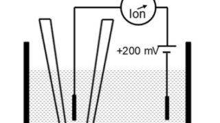 生細胞の表面構造をナノスケールで直接可視化 ～エクソソームなど細胞間コミュニケーションの理解に貢献～