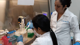 エルサルバドル:シャーガス病制圧のための統合的研究開発プロジェクト