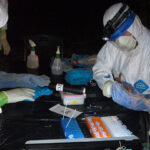 コンゴ民主共和国:アフリカにおけるウイルス性人獣共通感染症の疫学に関する研究