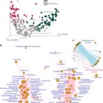 古代英国の口腔マイクロバイオームの研究で黒死病後の変化が明らかに(Study of ancient British oral microbiomes reveals shift following Black Death)