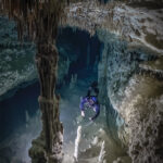 ユカタンの水中洞窟を見よ、多様な微生物群集の故郷である(Behold the underwater caves of Yucatán, home to diverse microbial communities)