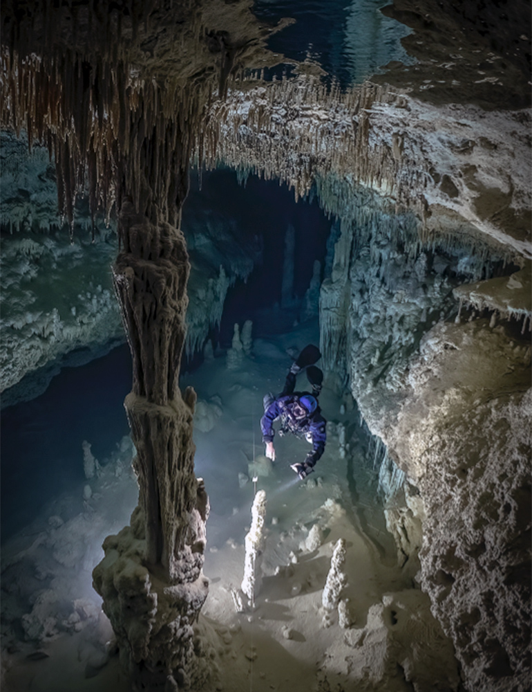 ユカタンの水中洞窟を見よ、多様な微生物群集の故郷である(Behold the underwater caves of Yucatán, home to diverse microbial communities)