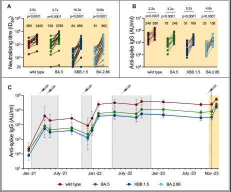 新しいCOVIDワクチンは変異ウイルス変異体に対して良好な抗体反応を誘導する(New COVID vaccine induces good antibody response to mutated viral variants)