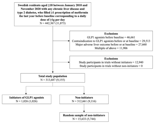 ポピュラーな糖尿病治療薬は重篤な肝疾患のリスクも低下させる可能性がある(Popular diabetes drug may also reduce the risk of severe liver disease)