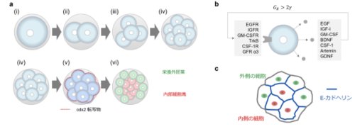 予測の医学の基盤となる先駆的な物理学の理論を開発～物理学とAI解析を組み合わせたハイブリッドAIの基盤～