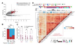 隠れているリンパ腫細胞を免疫システムにさらす(Exposing hiding lymphoma cells to the immune system)