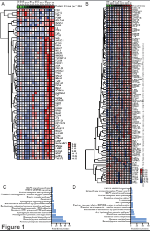 近隣の暴力と肺がん進行との関連研究(Study links neighborhood violence, lung cancer progression)