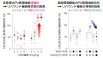 徹夜後に長く深く眠る仕組みを解明 ~大脳皮質の抑制性神経が眠気の強弱に応じて睡眠を誘導する~ 徹夜後に長く深く眠る仕組みを解明 ~大脳皮質の抑制性神経が眠気の強弱に応じて睡眠を誘導する~