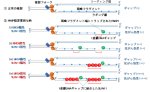 卵巣がん治療薬の効果を高めるSLFN11の機能を解明～PARP阻害薬の効果予測因子として期待～
