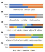 動植物において雑種異常を引き起こす原因遺伝子を網羅的に分析