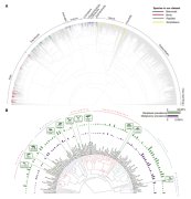 脊椎動物のがん有病率に関する最大規模の集計が完了(Researchers complete the largest compilation of cancer prevalence across vertebrates)