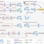 アルゴンヌのチームがAI駆動型タンパク質設計の新境地を開拓(Argonne team breaks new ground in AI-driven protein design)