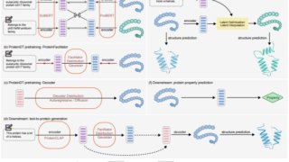 アルゴンヌのチームがAI駆動型タンパク質設計の新境地を開拓(Argonne team breaks new ground in AI-driven protein design)