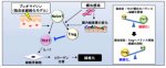 免疫バランスの調整を通じた全身性強皮症の線維化抑制機序の解明: 新たな治療戦略の提案 免疫バランスの調整を通じた全身性強皮症の線維化抑制機序の解明: 新たな治療戦略の提案