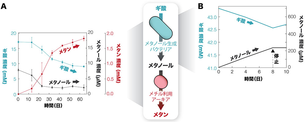 地下微生物はメタノールで飲みニケーション!?〜天然ガス成因のカギとなるメタノールを介した微生物共生を発見〜