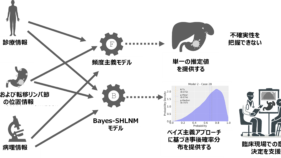 上部胃がんにおける脾門部リンパ節転移を予測する機械学習モデルの開発～ベイズ主義アプローチに基づく臨床的意思決定支援システムを開発～