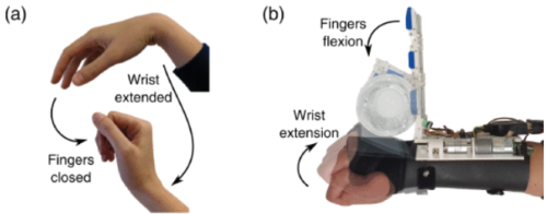 脊髄損傷患者のための新しい支援デバイスを開発 (New Assistive Device Enhances Grasping for People with Spinal Cord Injuries)