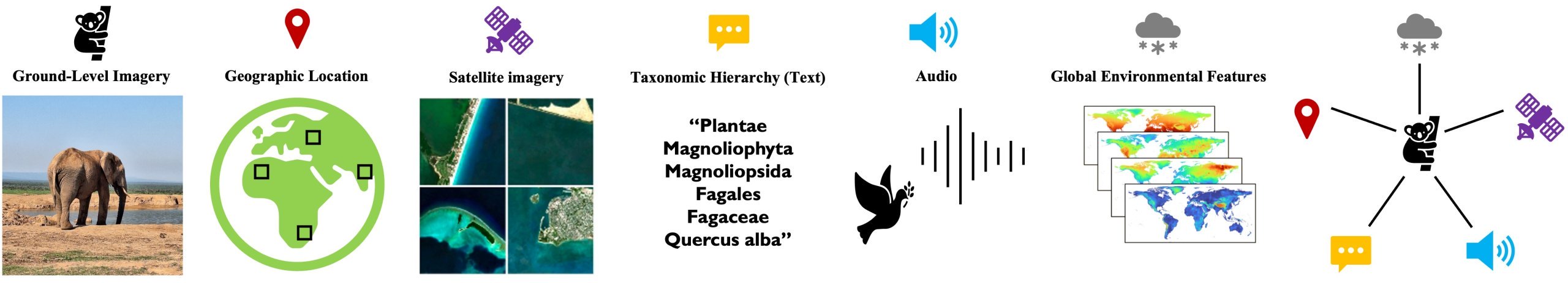 生態系研究を支援するマルチモーダルAIツール (Multimodal AI Tool Supports Study of Ecosystems)